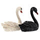 Pair of swans for resin Nativity Scene with characters of 10 cm s5