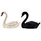 Pair of swans in resin for nativity scene 10 cm s1