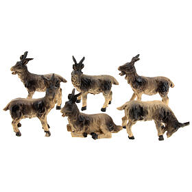 Set of 6 goats for Nativity Scene with 10 cm characters