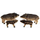 Wild boar family, H 4 cm for 10 cm nativity scene 4 pcs s1