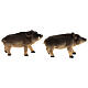 Wild boar family, H 4 cm for 10 cm nativity scene 4 pcs s2