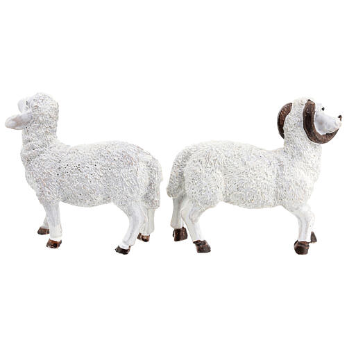 Sheeps with ram for Nativity Scene with 15 cm characters, set of 6 5