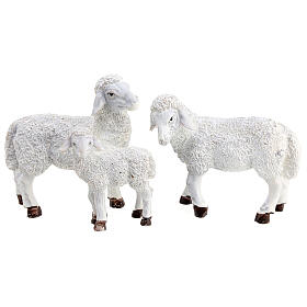 Set ovejas con carnero belén 15 cm 6 piezas