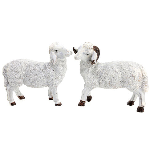 Set moutons avec bouc 6 pcs crèche 15 cm 4