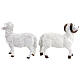 Set moutons avec bouc 6 pcs crèche 15 cm s5