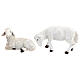 Set moutons avec bouc 6 pcs crèche 15 cm s6