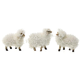 Set of 5 sheep set with wool for a 12cm Nativity
