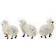 Set ovejas con lana belén 12 cm 5 piezas s4