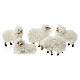 Conjunto 5 ovelhas com lã para presépio com figuras de 12 cm s1