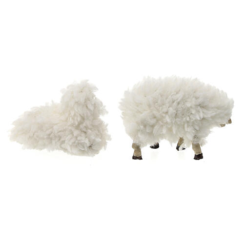 Sheep set with wool 12cm nativity 5pcs 5