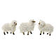 Sheep set with wool 12cm nativity 5pcs s2