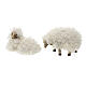 Sheep set with wool 12cm nativity 5pcs s3
