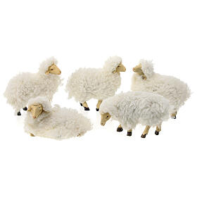 Set of 5 sheeps for Nativity Scene with 15 cm characters, resin and wool