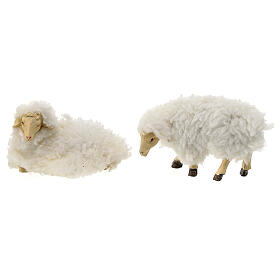 Set of 5 sheeps for Nativity Scene with 15 cm characters, resin and wool