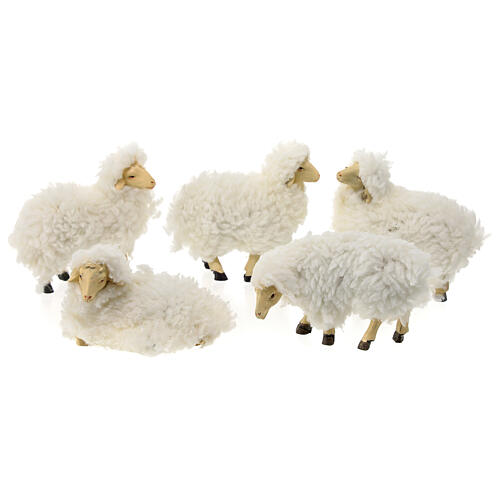 Set of 5 sheeps for Nativity Scene with 15 cm characters, resin and wool 1