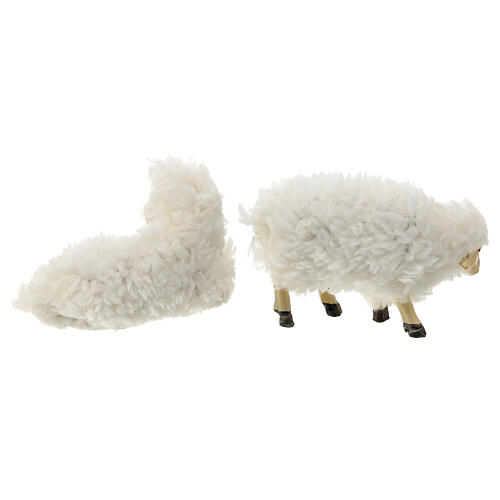 Set of 5 sheeps for Nativity Scene with 15 cm characters, resin and wool 4