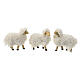 Set of 5 sheeps for Nativity Scene with 15 cm characters, resin and wool s3