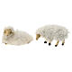 Sheep figurine set wool 5 pcs nativity 15 cm s2
