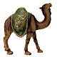 Resin dromedary with saddle for Nativity Scene with 30 cm characters s6