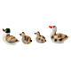 Resin family set of ducks 2 cm for 10-12 cm nativity s3