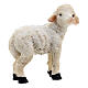 Schaf aus Harz 2 Stück für Krippe 10 cm, 5x2x5 cm s3