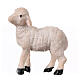 Resin sheep for nativity scene h 5 cm s1