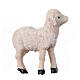 Resin sheep for nativity scene h 5 cm s2