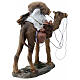 Standing camel laden with baskets for 11 cm Nativity Scene, painted resin s5