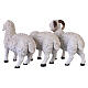 Set of 3 resin sheep for Nativity Scenes, 35-45 cm s8