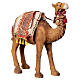 Camel with cover for 40 cm Nativity Scene, coloured resin s3