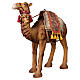 Camel with cover for 40 cm Nativity Scene, coloured resin s5