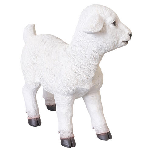 Agnello bianco in resina 30x30x10 cm per presepe da 80 cm 3