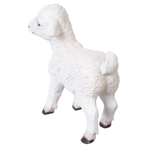 Agnello bianco in resina 30x30x10 cm per presepe da 80 cm 4