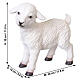 Agnello bianco in resina 30x30x10 cm per presepe da 80 cm s2