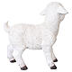 Agnello bianco in resina 30x30x10 cm per presepe da 80 cm s5