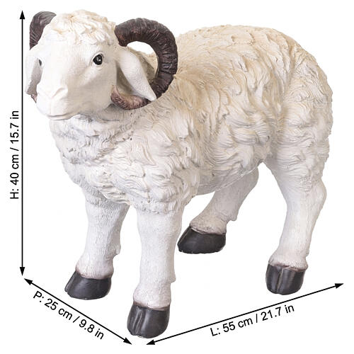 Montone con corna in resina 40x55x25 cm per presepe da 80 cm 2