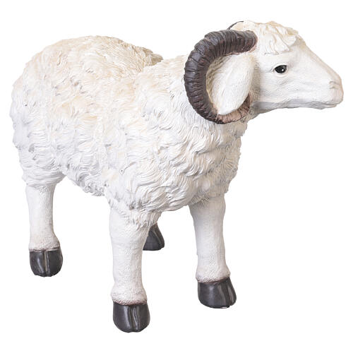Montone con corna in resina 40x55x25 cm per presepe da 80 cm 3