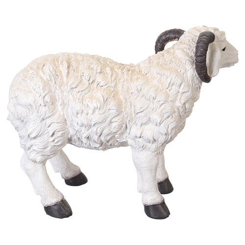 Montone con corna in resina 40x55x25 cm per presepe da 80 cm 4