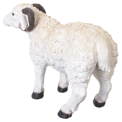 Montone con corna in resina 40x55x25 cm per presepe da 80 cm 5