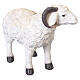 Montone con corna in resina 40x55x25 cm per presepe da 80 cm s3