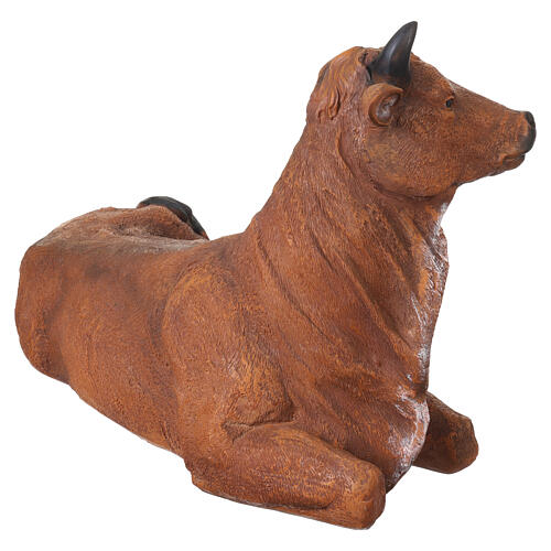 Bue sdraiato in resina 45x80x40 cm per presepe da 80 cm 3