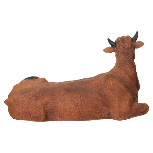 Bue sdraiato in resina 45x80x40 cm per presepe da 80 cm 4