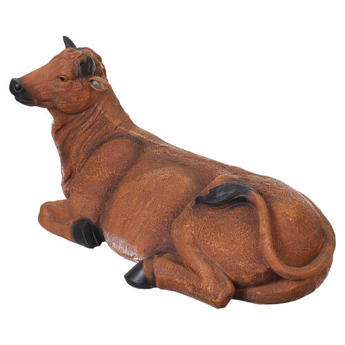 Bue sdraiato in resina 45x80x40 cm per presepe da 80 cm 5