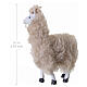 Pair of Alpacas for 10-12 cm Nativity Scene s2