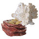 Coppia di colombe con nido e uova per presepe 6-8 cm s3