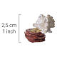 Pair of doves with nest and eggs for nativity scene 6-8 cm s2