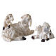 Groups of white sheep with lambs for 6-8 cm nativity scene s1