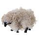 Set di 5 pecore bianche con effetto lana per presepe 8-10 cm s4
