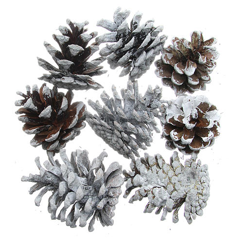 Cones de pinheiro com neve conjunto 8 peças 1