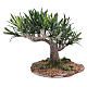 Olive tree for nativity scene in PVC s2